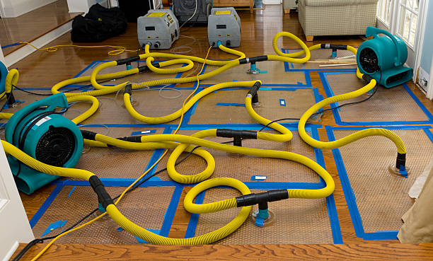 Professional Flood Damage Restoration technician working in Meredith, NH
